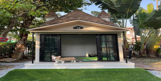 Chó cưng được tặng 'biệt thự' dịp Tết