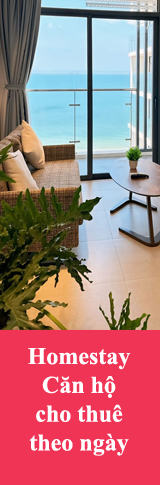 Homestay căn hộ cho thuê ngắn hạn theo ngày